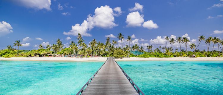 VOYAGE DE NOCES KUONI